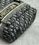Christian Dior рюкзак PR487491 15