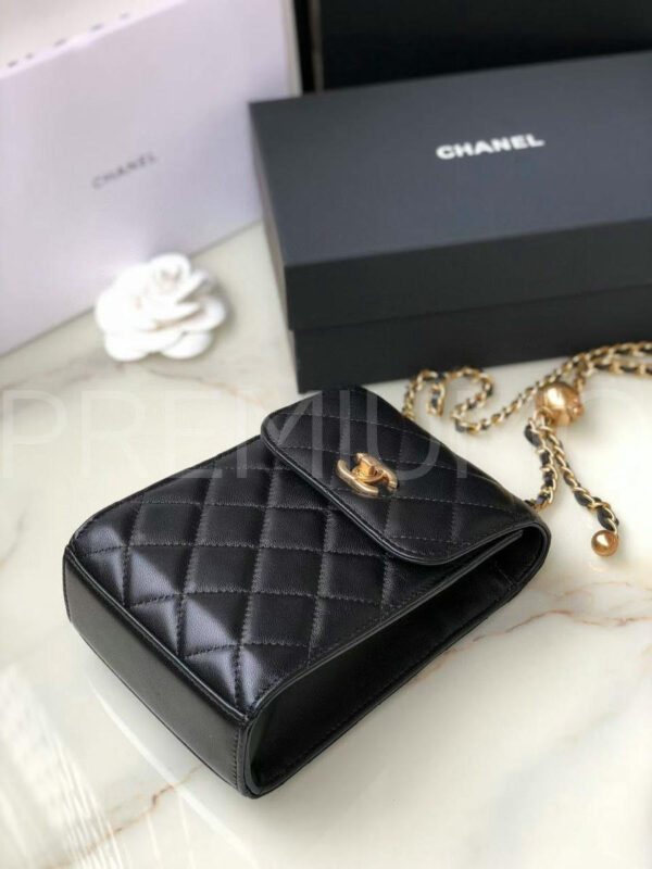 Chanel сумка PR774442 4