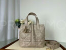 Christian Dior сумка PR794503 10