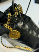 Chanel сумка PR259003 19