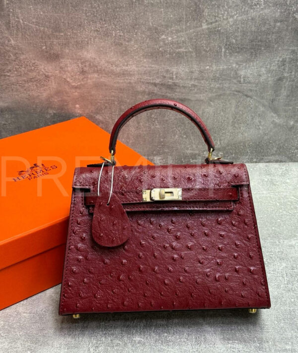 Hermes Kelly 22 сумка PR813867 2