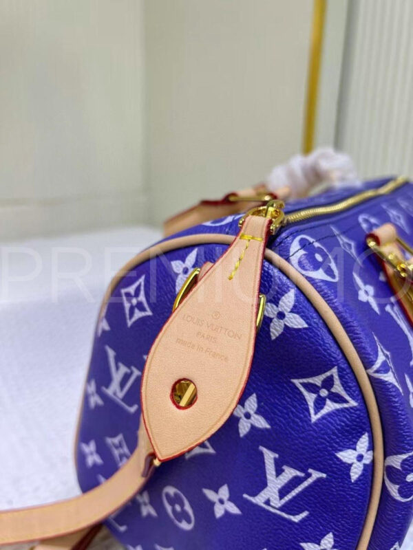 Louis Vuitton сумка PR156879 7