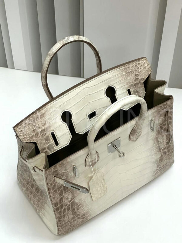 Hermes сумка PR392825 11