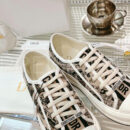 Christian Dior Walk’n’Christian Dior Platform кеды PR343229 51