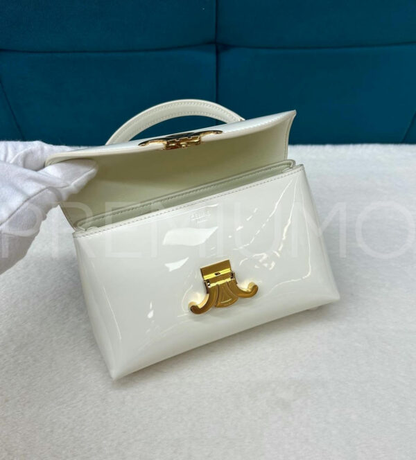 Celine сумка PR208500 6
