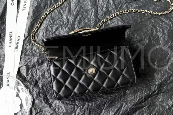 Chanel сумка PR399980 6