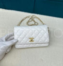 Chanel сумка PR385926 10