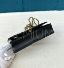 Chanel сумка PR606179 13