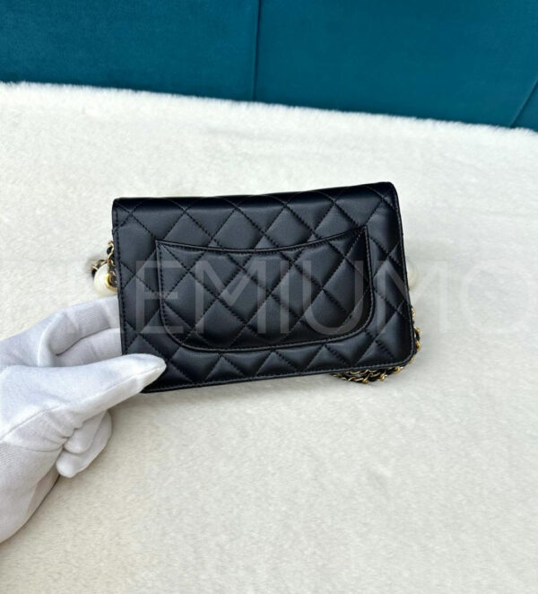 Chanel сумка PR606179 3