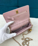Chanel сумка PR843704 15
