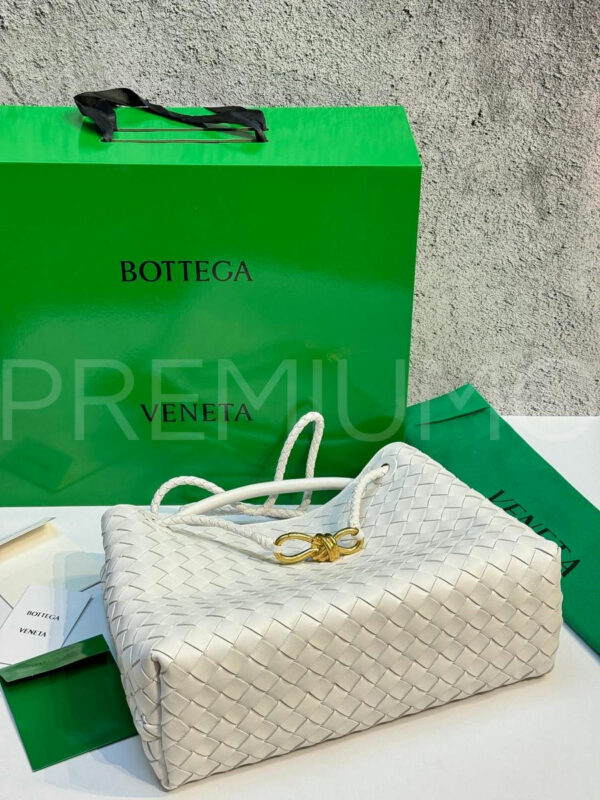 Bottega Veneta сумка PR692804 17