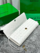 Bottega Veneta Andiamo сумка PR378976 25