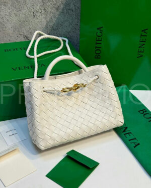 Bottega Veneta Small Andiamo сумка PR732212