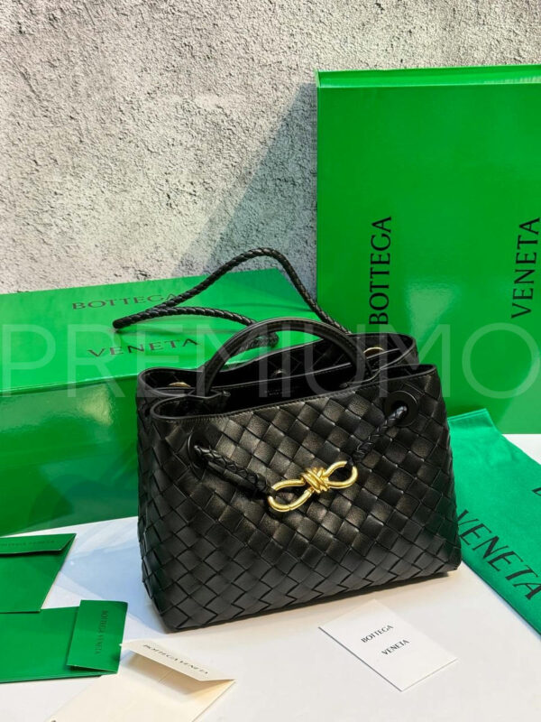 Bottega Veneta Small Andiamo сумка PR939106 9