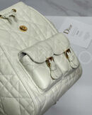 Christian Dior рюкзак PR805165 21