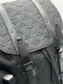 Louis Vuitton рюкзак PR253380 13