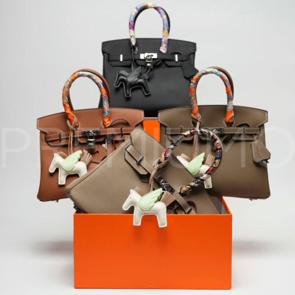 Hermes сумка PR309082 16