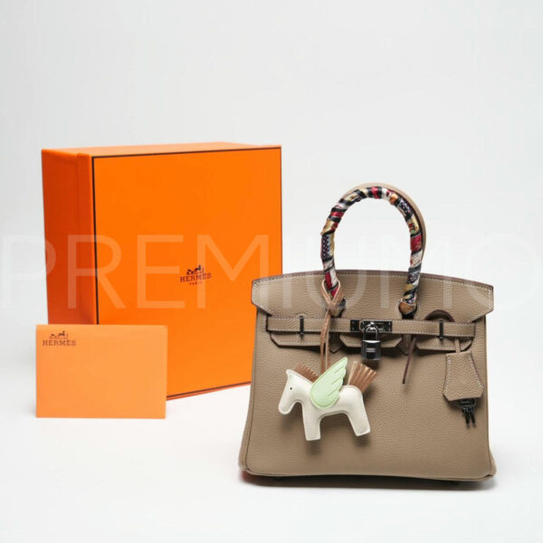 Hermes сумка PR553371 2