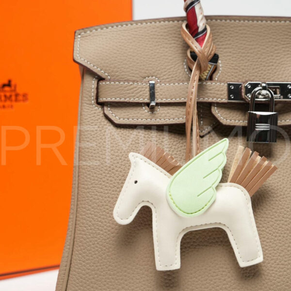 Hermes сумка PR553371 6