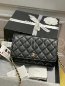 Chanel сумка PR506249 9