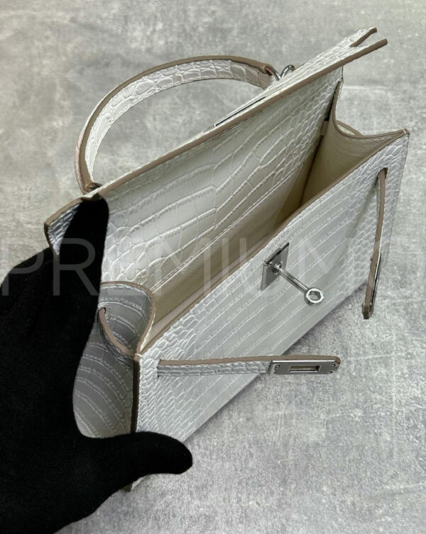 Hermes сумка PR242126 10