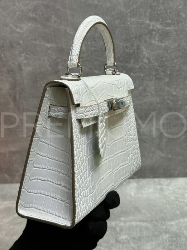 Hermes сумка PR242126 5