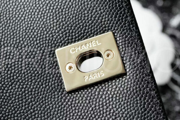 Chanel сумка PR626085 8