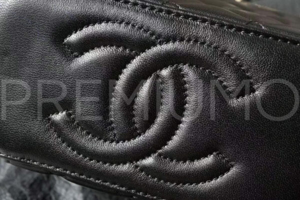 Chanel сумка PR174119 3