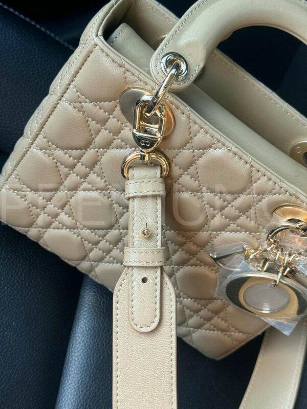 Christian Dior Lady сумка PR106070 14