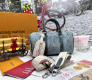 Louis Vuitton сумка PR230649 16