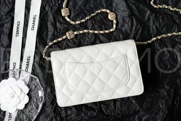 Chanel сумка PR562870 4