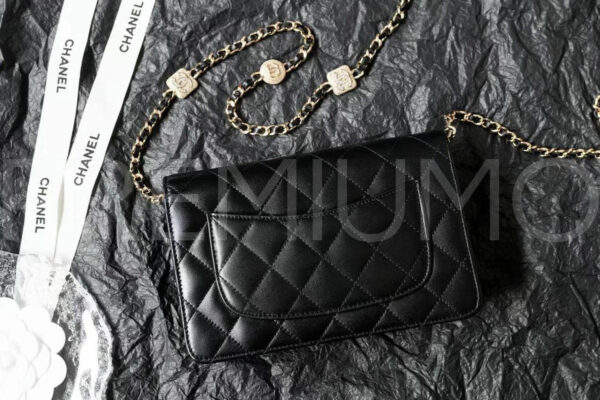Chanel сумка PR774864 4