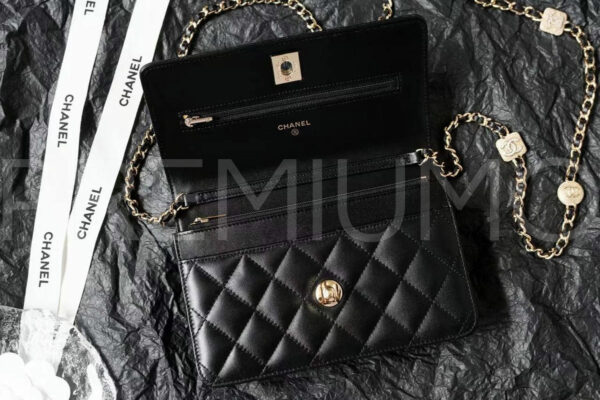 Chanel сумка PR774864 6