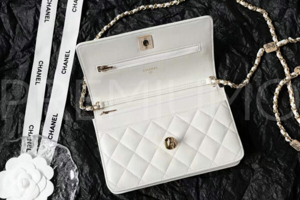 Chanel сумка PR562870 6