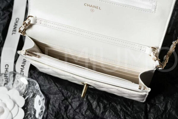 Chanel сумка PR562870 7