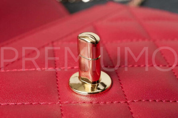 Chanel сумка PR215524 7