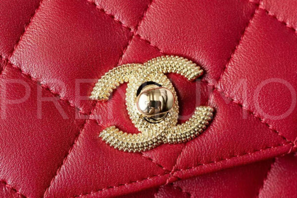 Chanel сумка PR215524 4