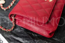 Chanel сумка PR215524 15