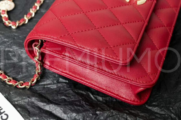 Chanel сумка PR215524 6