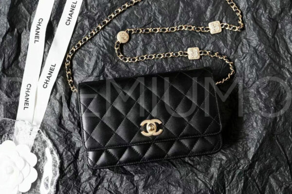 Chanel сумка PR774864
