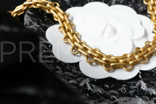 Chanel сумка PR490399 5
