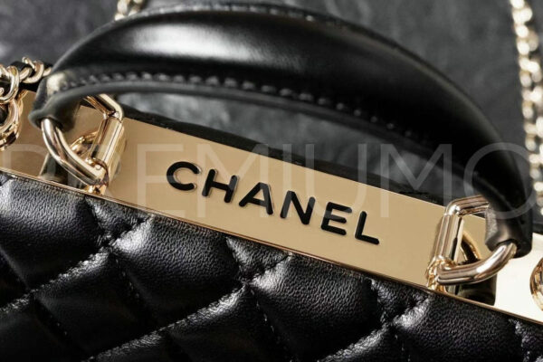 Chanel сумка PR670593 5