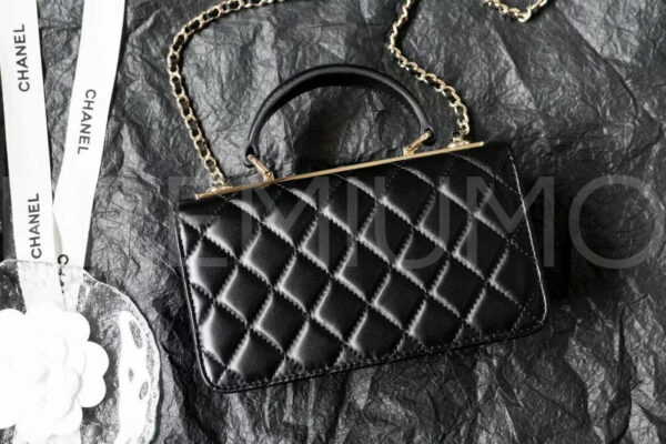 Chanel сумка PR670593 6