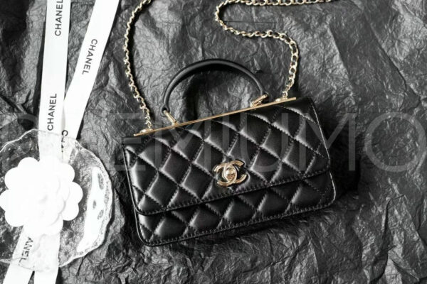 Chanel сумка PR670593