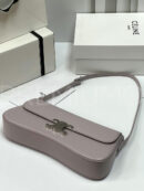Celine сумка PR481287 19