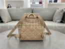 Christian Dior рюкзак PR356087 23
