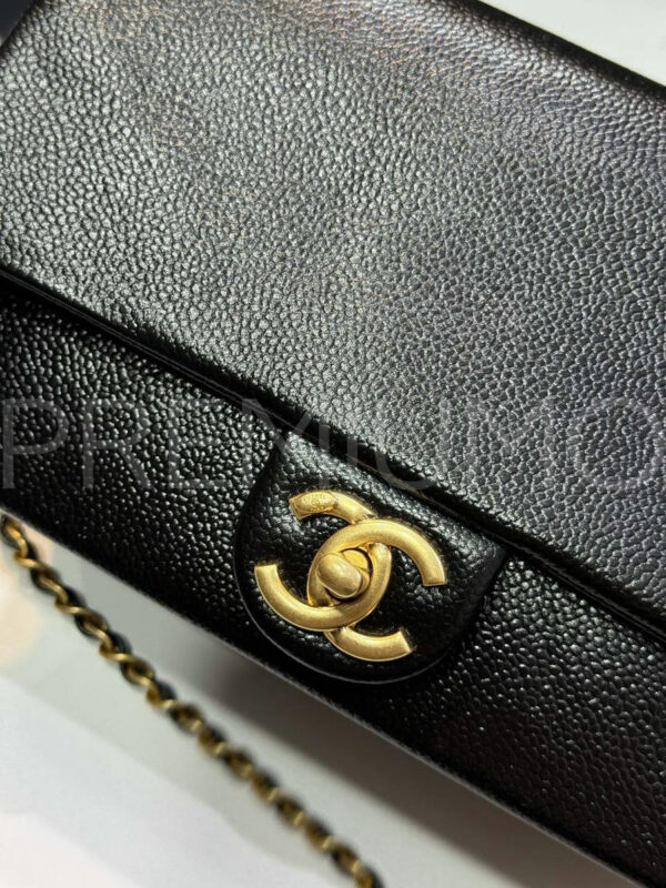 Chanel сумка PR898224 8