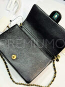 Chanel сумка PR898224 11
