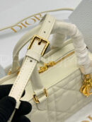 Christian Dior сумка PR337712 37