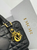 Christian Dior сумка PR384040 20
